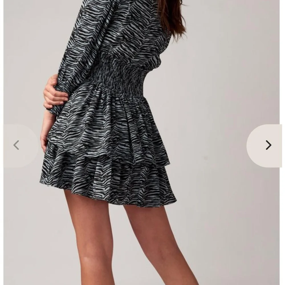 Chic Zebra Patterned Mini Dress - Picture 5 of 6